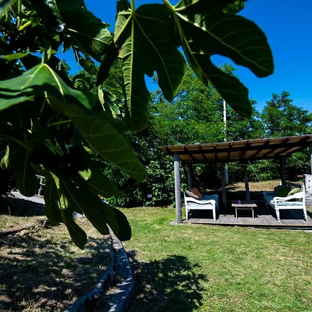 211 - Acacia, Terrazza Giardino E Piscina